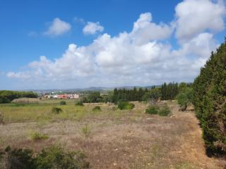 Propriété à Carrer el bosc 16. Exclusivo terreno de protección rústico-paisajístico con muchas