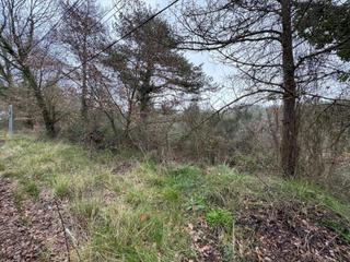 Fondo rustico  Àngels 50. Oportunidad!!!