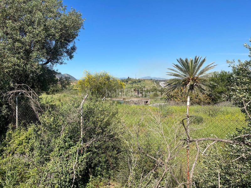 Foto 170b8c21-ff1b-460e-b1ff-e29f020d8c10. Finca rústica a Campanillas Málaga