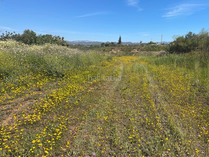 Foto 6bd2a57e-8906-4a44-bac8-f92274e5946c. Finca rústica a Campanillas Málaga