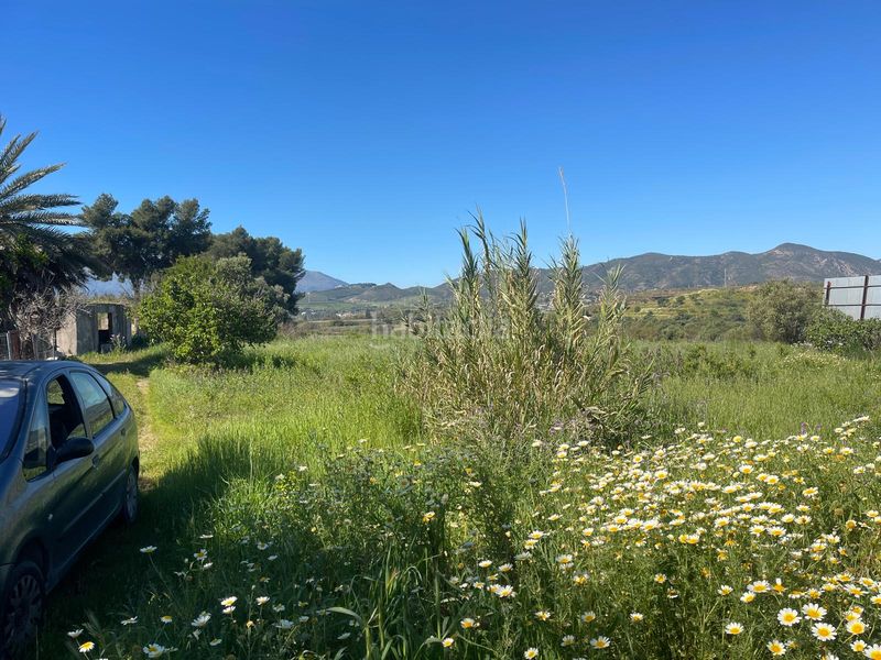 Foto d6ea6c54-eab6-48c0-86c6-680ddff80e6c. Finca rústica a Campanillas Málaga