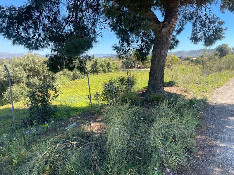 Foto e56e4f89-4eb2-45ca-965a-60bd9c644a65. Finca rústica a Campanillas Málaga