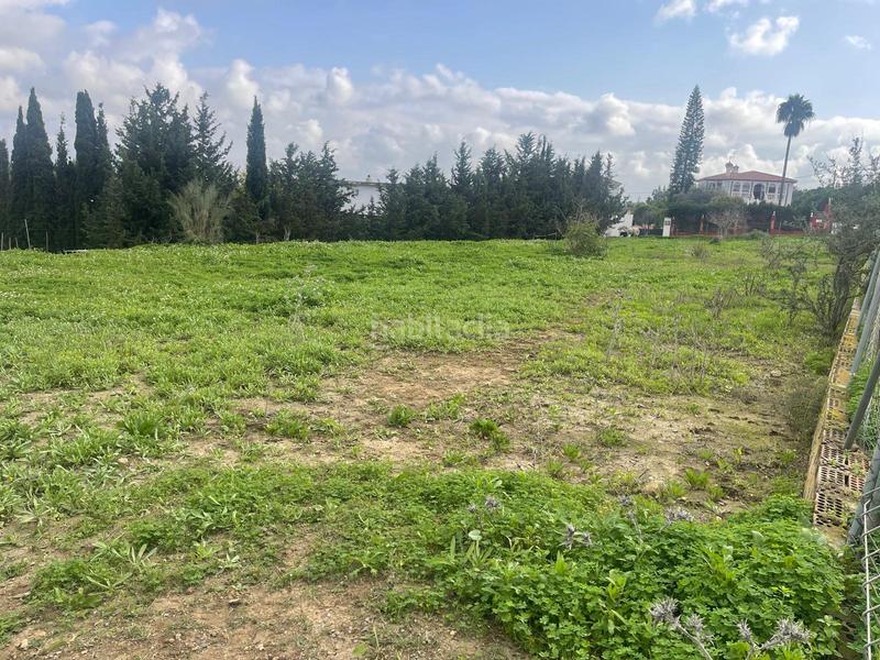 Foto 419b184b-17d3-49ec-ba7f-26ed6f18edbd. Propriété dans El Romeral-Peñón de Zapata Alhaurín de la Torre