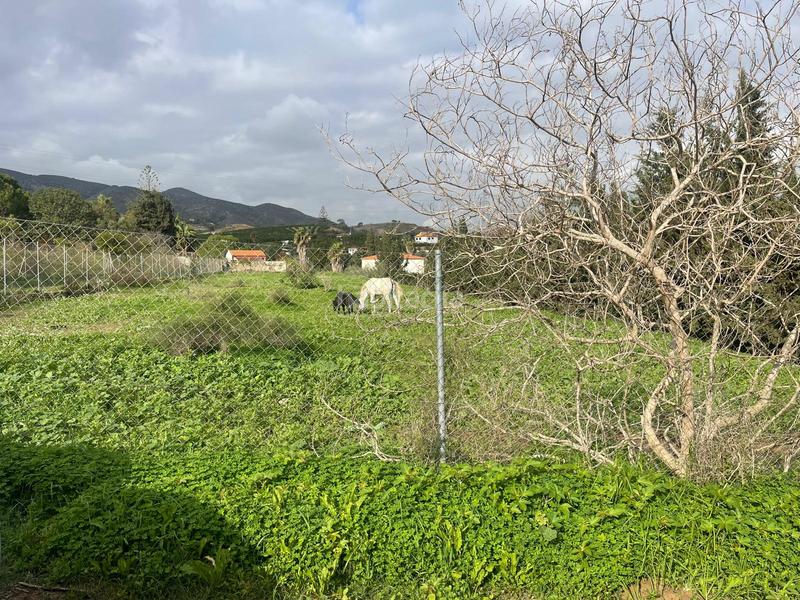 Foto dde76786-1dd3-40c6-9a3b-d746a9231424. Propriété dans El Romeral-Peñón de Zapata Alhaurín de la Torre
