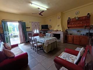 Masia a Roble 40. Casa rural en hinojos a la venta de una sola planta con piscina