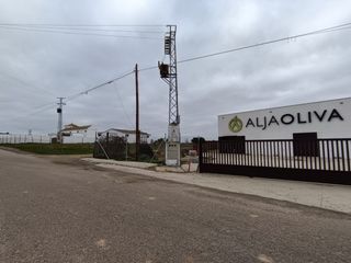 Rural plot in Bollullos de la Mitación. Espectacular finca de olivar con producción en activo en venta (