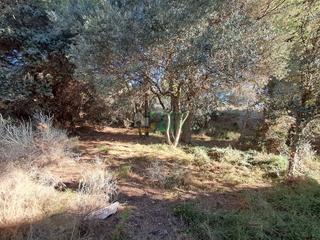 Terreny residencial  Carrer joan rabascall alpinista. Terreno (solar) en venta cerca de reus muy bien situado y cerca