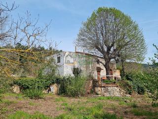 Casa  Carretera alcolea pinar. Casa de campo (masía) en venta y con terreno de 12.500 m2, verde