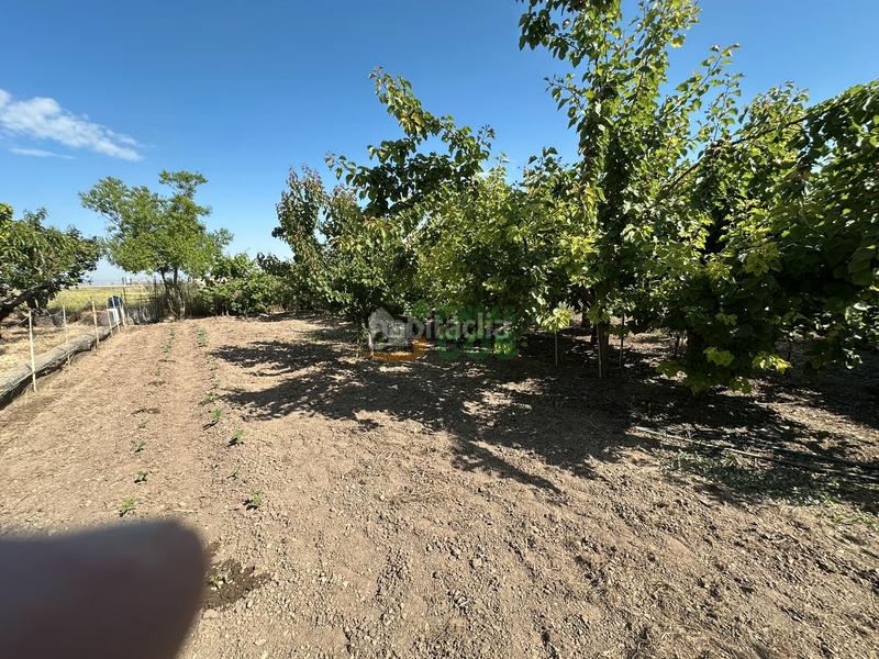 Foto 01dbbdd5-e774-47a2-99a6-c579db45b6cd. Haus mit kamin parking in Castellnou de Seana