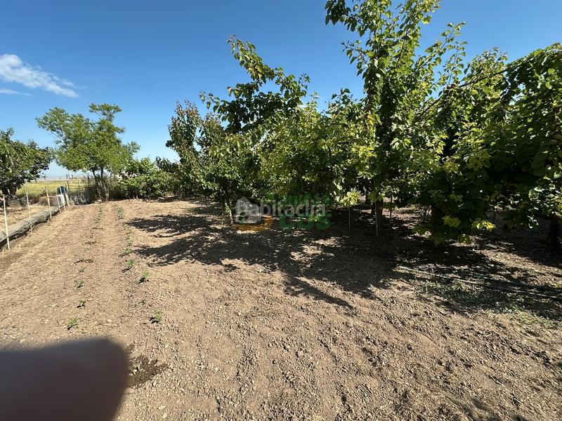 Foto 7b8f93f7-5324-4c3d-844e-0db4d6dd59ad. Haus mit kamin parking in Castellnou de Seana