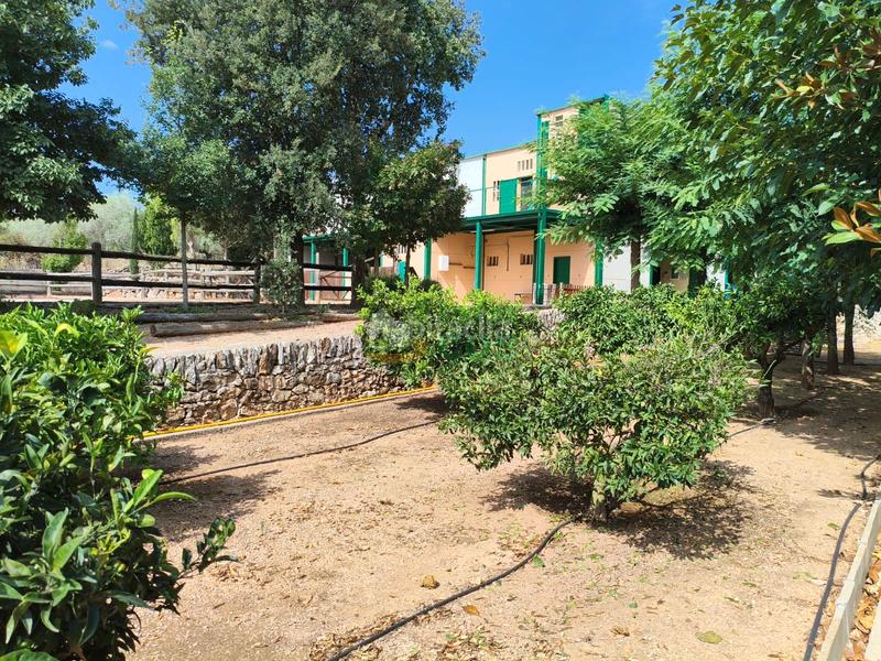 Foto 21c86289-652f-4417-a479-70ed12f2d29c. Chalet with fireplace parking pool in Masdenverge