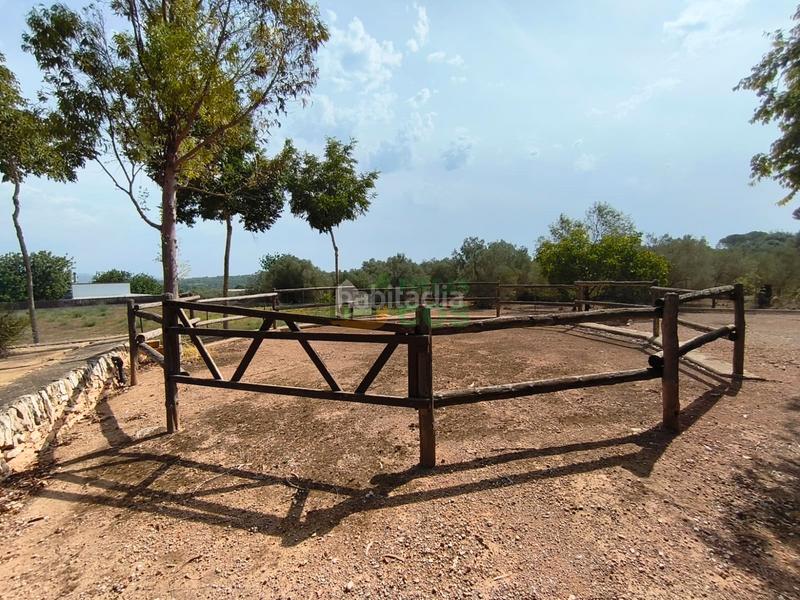 Foto 8695a591-b1da-428f-aced-f1bf461894fc. Chalet with fireplace parking pool in Masdenverge