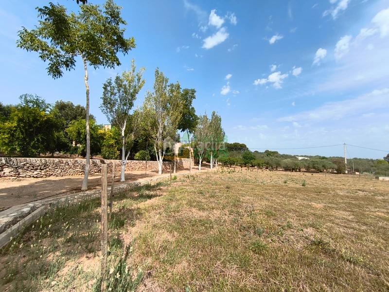 Foto ad9ba974-ef7c-420a-916c-b4d1741216aa. Chalet with fireplace parking pool in Masdenverge