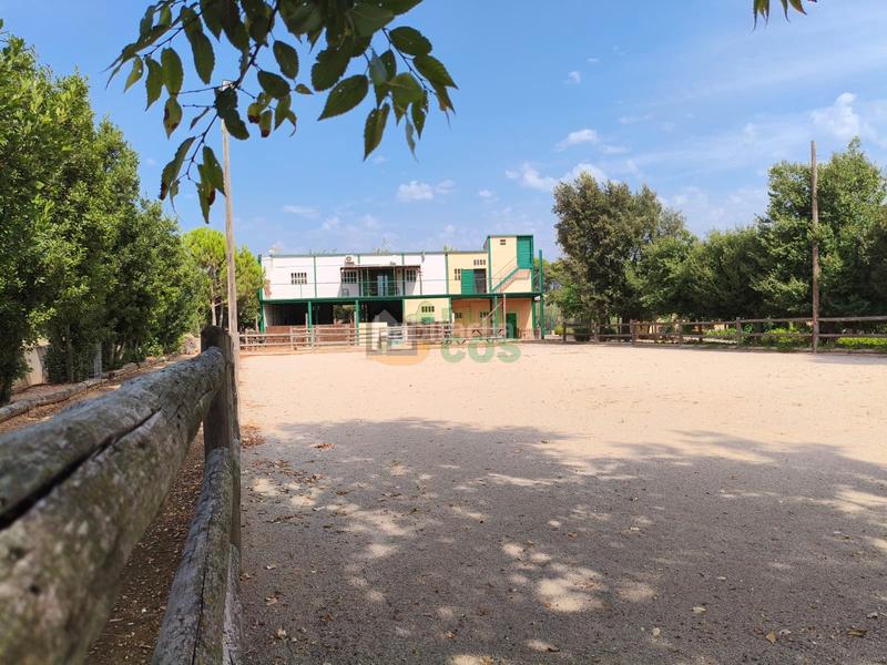 Foto de459176-08de-481a-9530-cef804d47eb7. Chalet with fireplace parking pool in Masdenverge