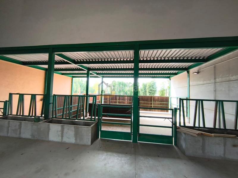 Foto eaccfda5-b343-4c9e-97c5-b0d4741f7ff3. Chalet with fireplace parking pool in Masdenverge