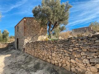 Rural plot in Almatret. Finca rustica en venta con cabaña de campo y mucho terreno en un