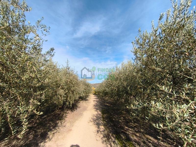 Foto 43bab314-60b0-4fe7-9e73-a0240793ac5b. Haus mit kamin heizung parking in Castellgalí