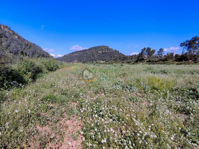 Foto 15f8d3e0-86db-4ad2-bcc1-43c9591df4ff. Haus in Marçà