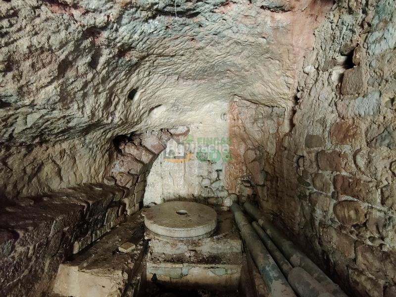 Foto 3c2fdcb4-e2c4-4186-acbe-241c48e320ed. Haus in Marçà