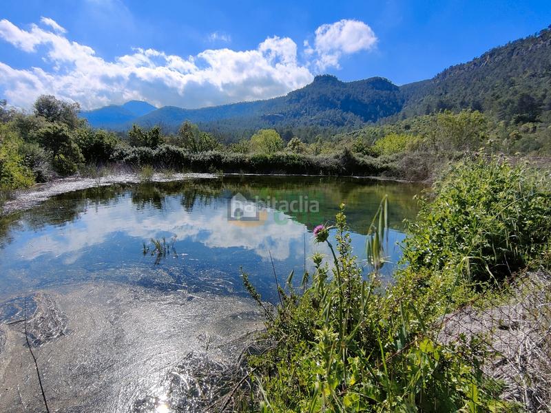 Foto 9f2d09ce-4393-444b-b4af-00a6329c640b. Haus in Marçà