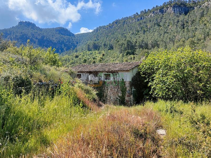 Foto ceff5d74-8229-4715-92d1-0c2f7f0bc62c. Haus in Marçà