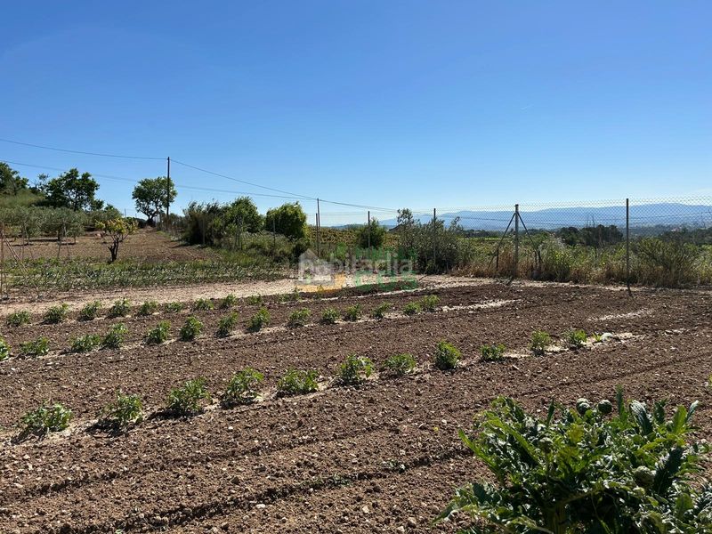 Foto 6ba88ff4-d476-4871-af69-ef54adcfdd07. Casa amb xemeneia aparcament a Font-rubí