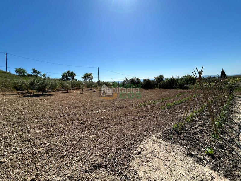 Foto 9fdb8d95-7467-40ff-ac6e-68b160875df6. Casa amb xemeneia aparcament a Font-rubí