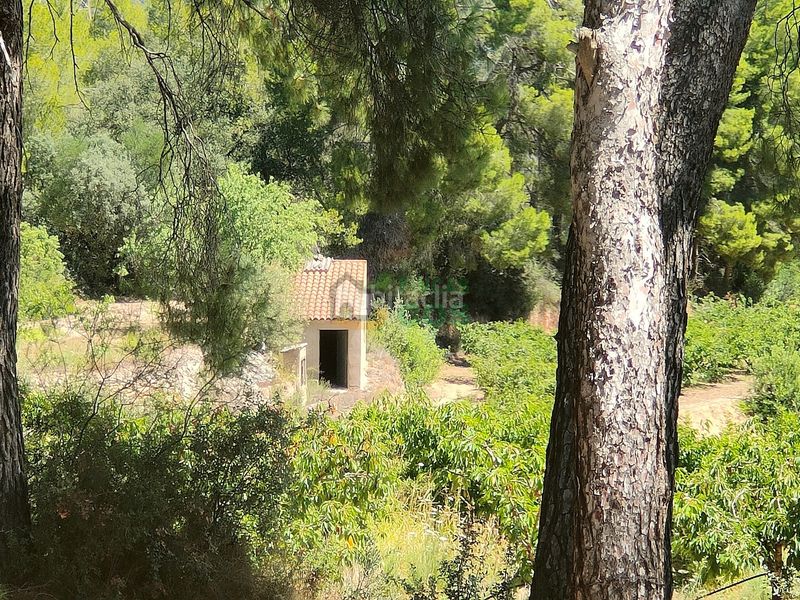 Foto 8660ae81-e794-4616-afb3-11c02ae8f168. Finca rústica finca en venta en plena producción de 9,5 has, la mayoría cerezos y olivos con almacenes, etc... en Garcia