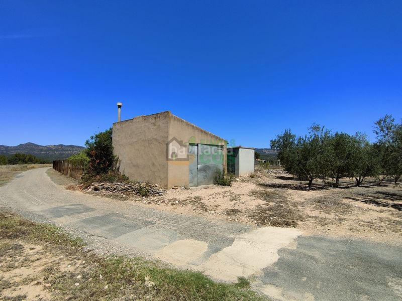 Foto bb7ef741-386d-448c-9ae7-1ee4d936967d. Finca rústica finca en venta en plena producción de 9,5 has, la mayoría cerezos y olivos con almacenes, etc... en Garcia