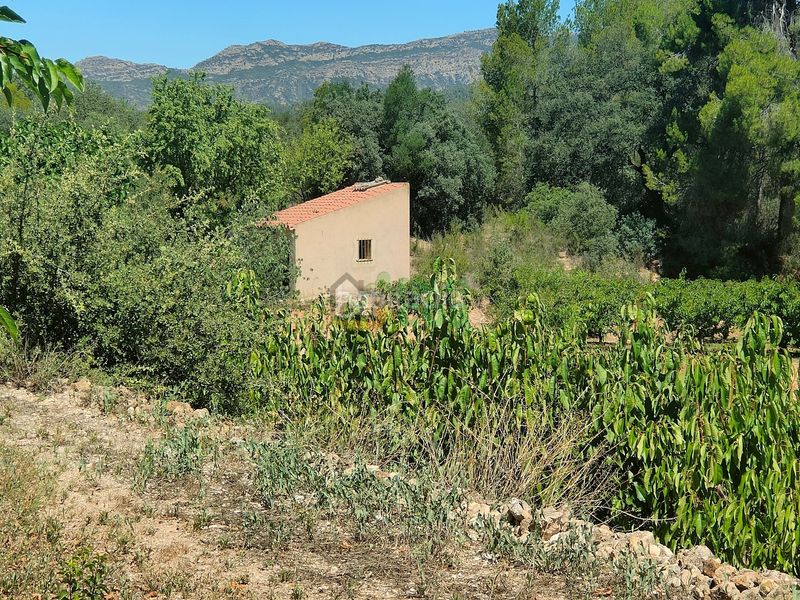 Foto c6dc48e6-ae3c-4cb9-a28a-1225254a9a65. Finca rústica finca en venta en plena producción de 9,5 has, la mayoría cerezos y olivos con almacenes, etc... en Garcia