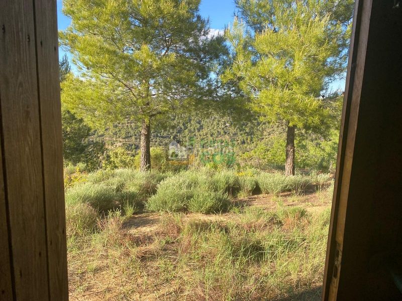 Foto 424e64ec-a288-4ae5-9c85-83d509a4dfee. Terreny residencial a Pobla de Cérvoles (La)