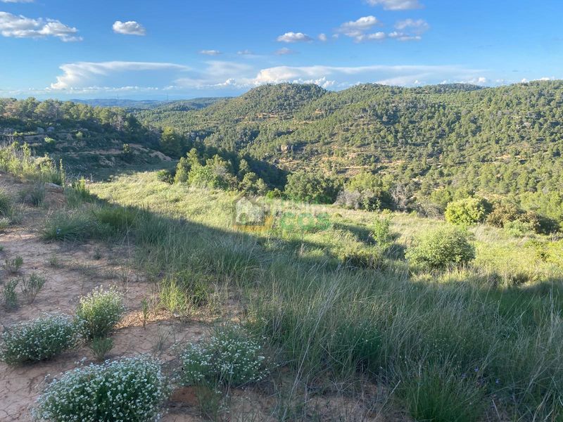 Foto ac6fdd77-2e34-4a3d-928e-6b3edf5967e8. Terreny residencial a Pobla de Cérvoles (La)