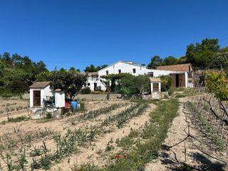 Maison  Carrer major. Casa de campo en venta con 3.900 m2 de terreno llano con jardín,