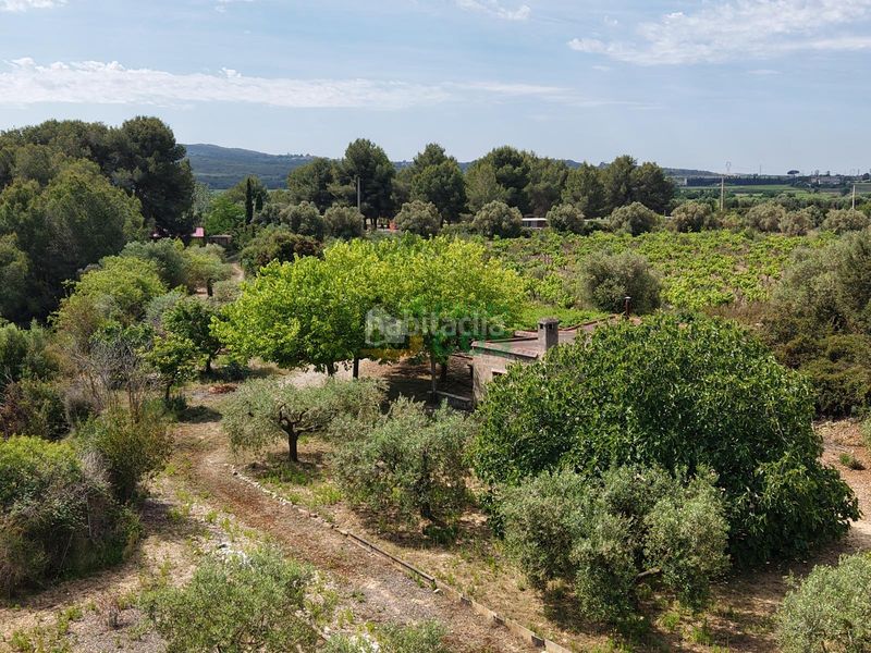 Foto 192f2a24-ec7e-4485-b3b8-77243def10a2. Finca rústica a Arboç (L´)
