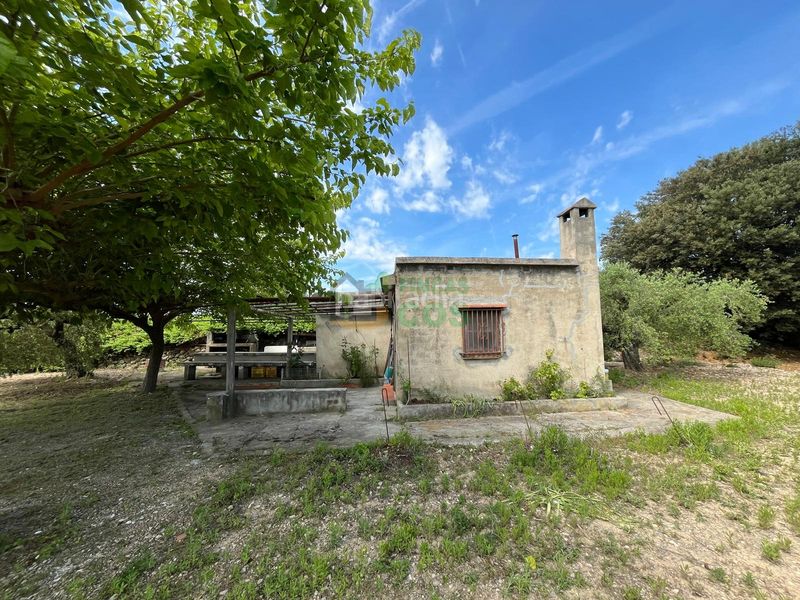Foto 1dbf880e-a10f-487d-9d79-6558066a0b32. Finca rústica a Arboç (L´)