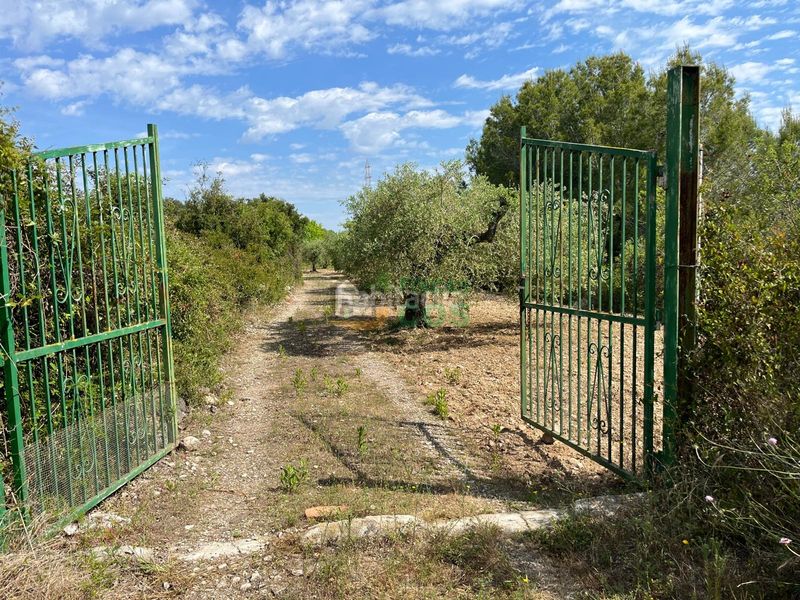 Foto 1e71ea6a-2e39-417b-9026-6b92939ef8ac. Finca rústica a Arboç (L´)