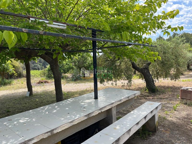 Foto 498a8290-e8eb-4081-b323-e0efbc038f40. Finca rústica a Arboç (L´)