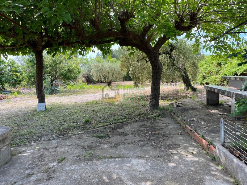 Foto 6463e1a1-00c8-4562-ab8b-aaff9c279c36. Finca rústica a Arboç (L´)