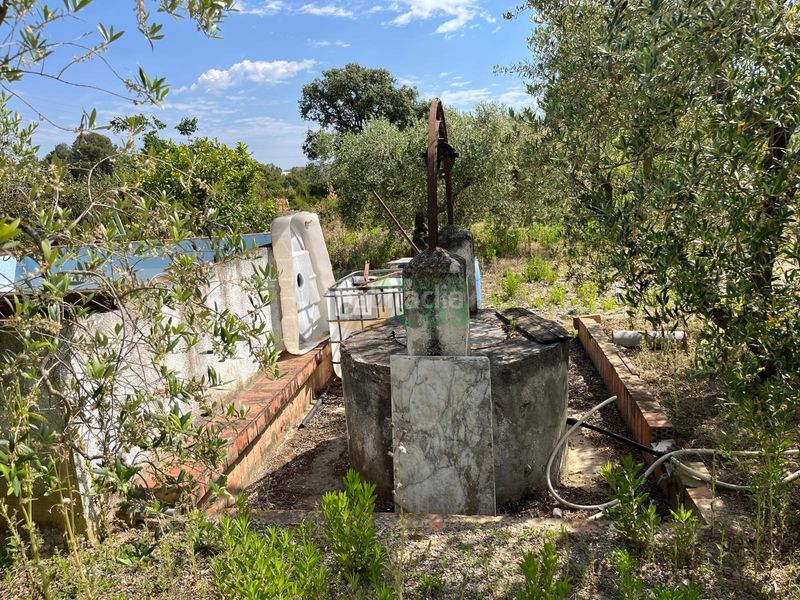Foto af24d0a4-49ac-4808-9ded-cd7e5afad006. Finca rústica a Arboç (L´)
