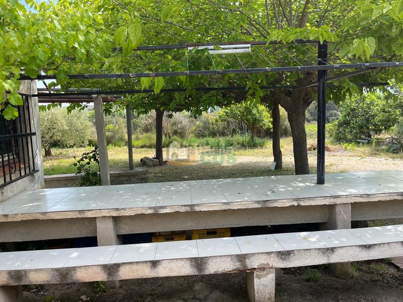 Foto c9a9ed9e-c5e6-43a2-b84c-ccb18102f336. Finca rústica a Arboç (L´)