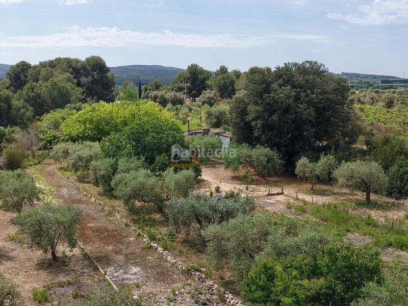 Foto df4ef7b5-fbe1-4bdb-95bf-66f963e5d111. Finca rústica a Arboç (L´)