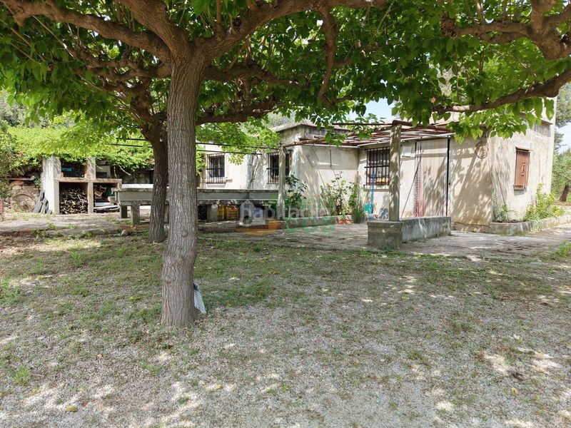 Foto f55a7de0-9193-480d-8bc7-de4da7a2486f. Finca rústica a Arboç (L´)
