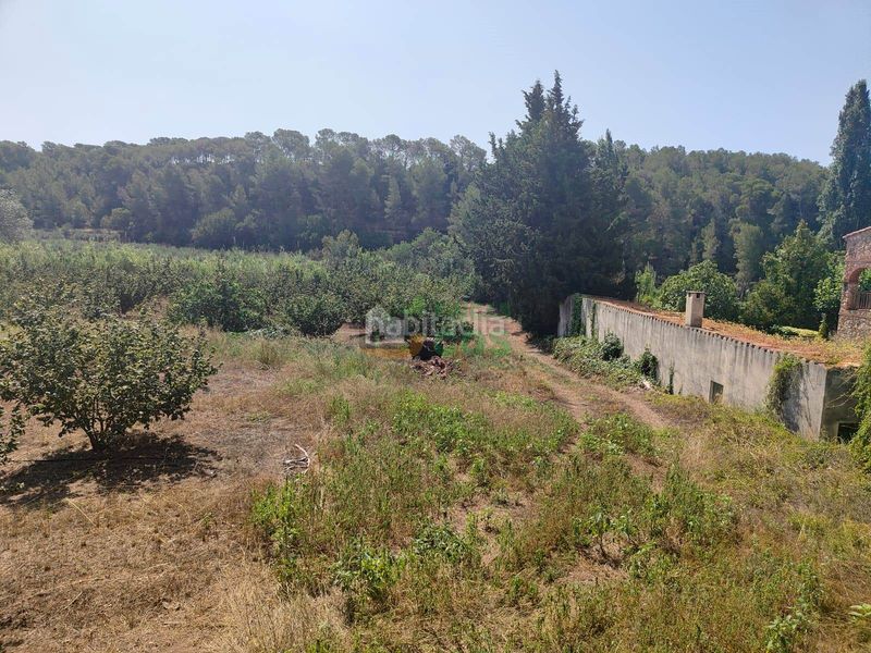 Foto 13f8ba75-950c-4405-98d4-e0f31c2282d8. Casa amb xemeneia a Alcover