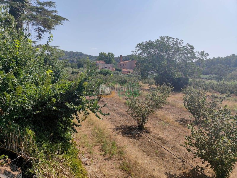 Foto a84b2b8d-03ee-43a4-8b63-f95fc2a779bf. Casa amb xemeneia a Alcover