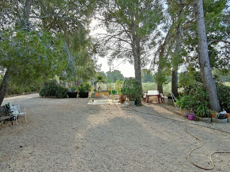 Foto 069ccdb1-019c-4eb1-9c3a-0e93a095d79e. Casa amb xemeneia aparcament piscina a Poble Mont-roig del Camp