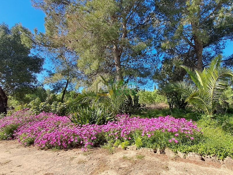 Foto 4a3eb5ee-1b1d-45f5-8894-74981e3704c7. Casa a Ponent Reus