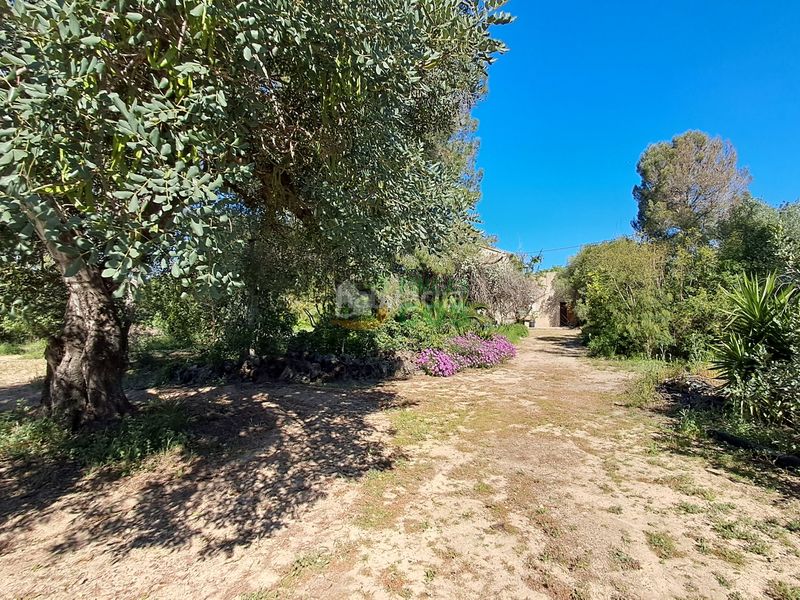 Foto 5cbdf9ad-e950-4bba-8f77-148f0a809a48. Casa a Ponent Reus