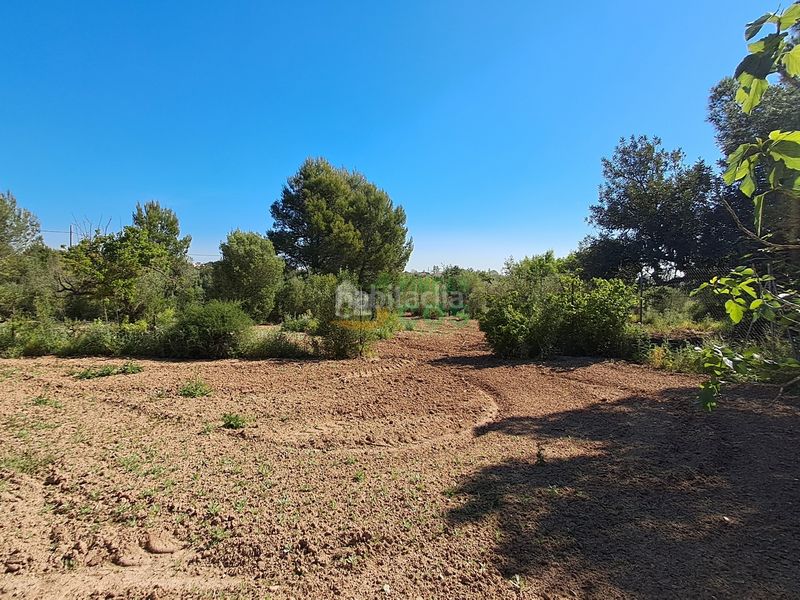Foto 9495ec57-c891-4d09-827b-676752f831b4. Casa a Ponent Reus