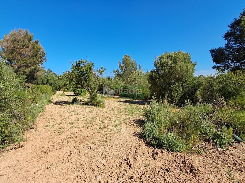Foto a92588a9-d07e-4a16-8141-0d0096f6aeac. Casa a Ponent Reus