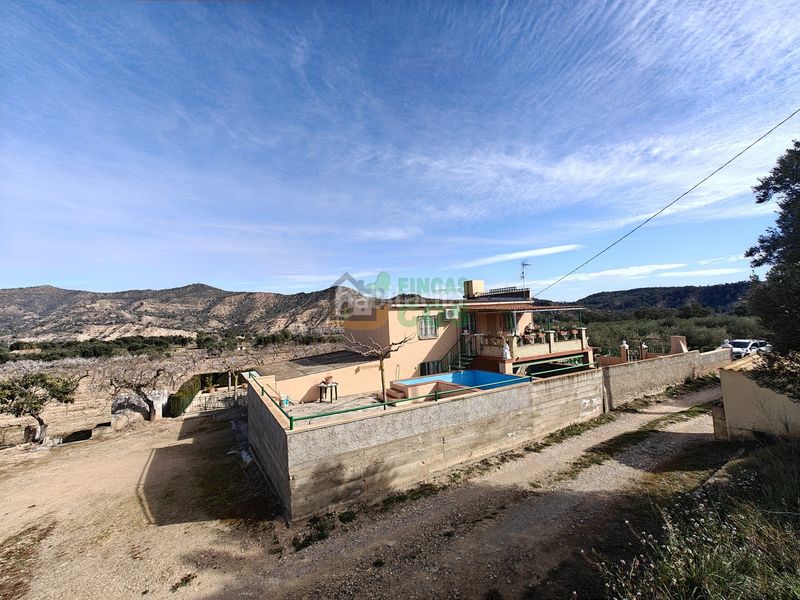 Foto 91829a7d-f261-466d-8bf1-4ed6ee6e4ec7. Casa con riscaldamento parcheggio piscina in Riba-roja d´Ebre